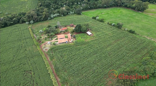 Sítio em GLEBA PINDAUVA  -  Jardim Alegre