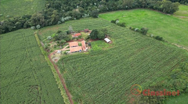 Sítio em GLEBA PINDAUVA  -  Jardim Alegre