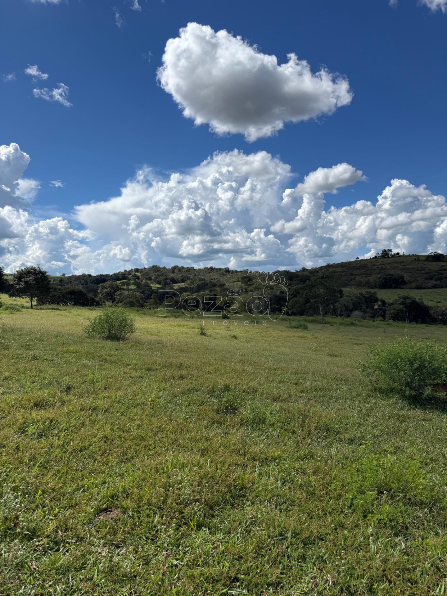 Rural à venda no Fazenda, Itapuranga (GO) — foto 7 de 11