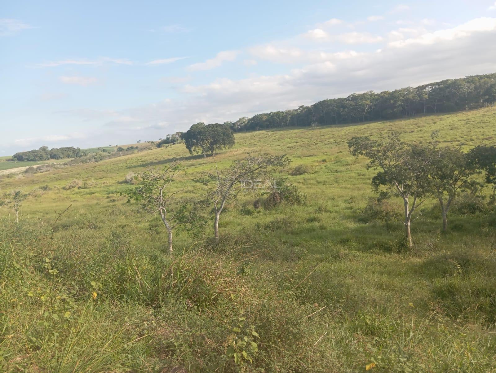 Rural à venda com 1280000m² de terreno no Valão Seco, São Francisco de Itabapoana (RJ) — foto 12 de 30