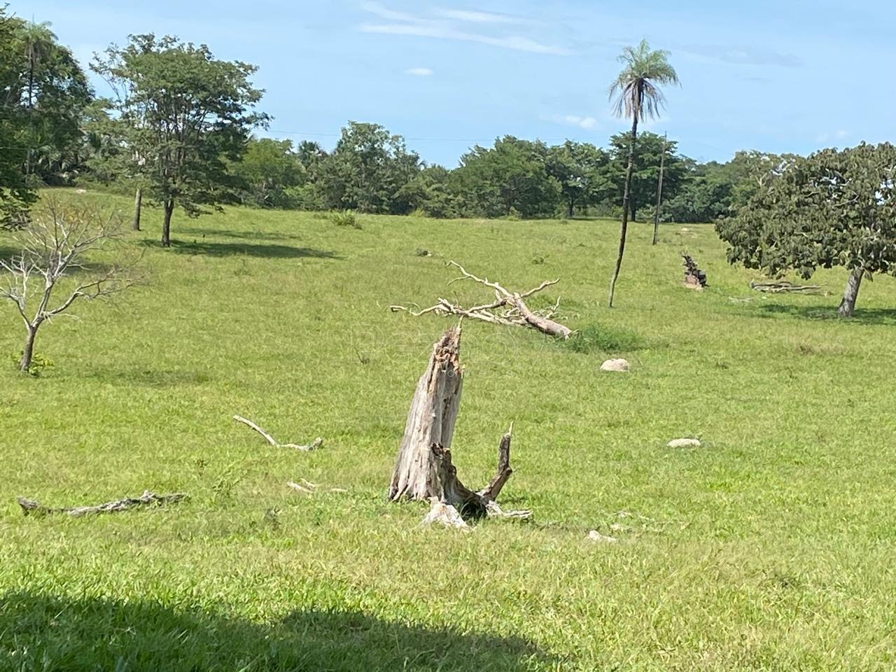 Rural à venda no Zona Rural, Itapuranga (GO) — foto 16 de 18