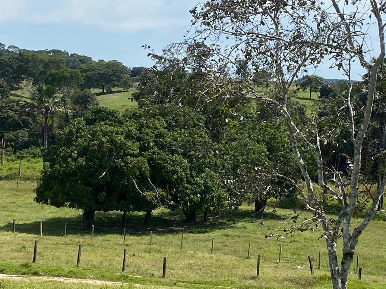 Rural à venda no Zona Rural, Itapuranga (GO) — foto 8 de 18