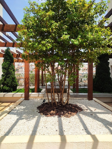 Apartamento em Vila Sônia  -  São Paulo