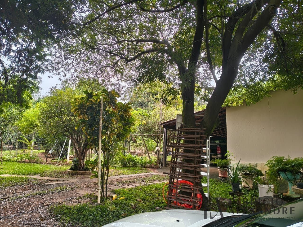 Rural à venda com 5000m² de terreno no Recanto de Ala, Mirassol (SP) — foto 15 de 17