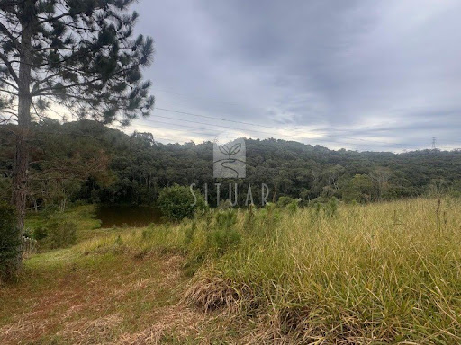 Foto 02