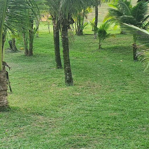 Sítio em Reserva Biológica da União  -  Rio das Ostras