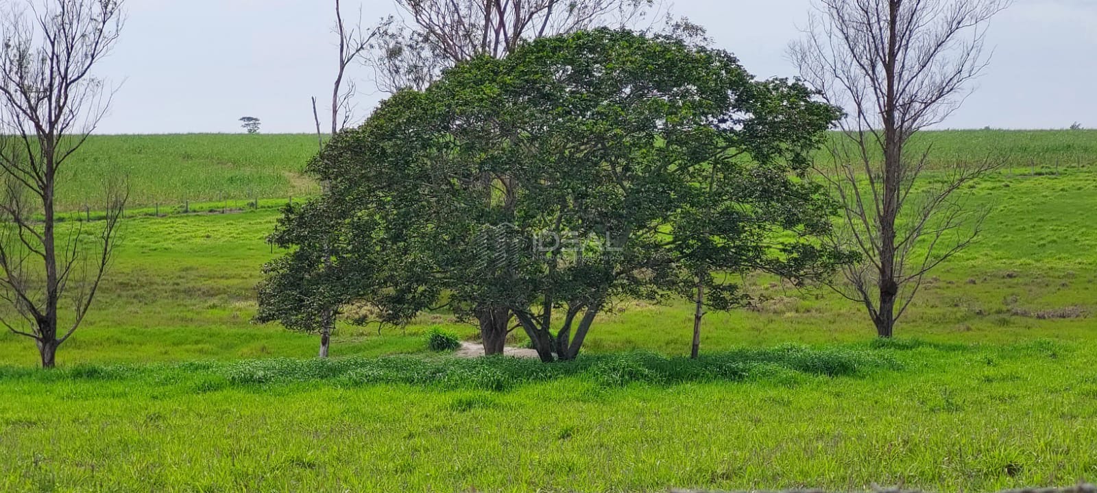 Terreno à venda com 1750000m² de terreno no Nova Travessão, Campos dos Goytacazes (RJ) — foto 17 de 30