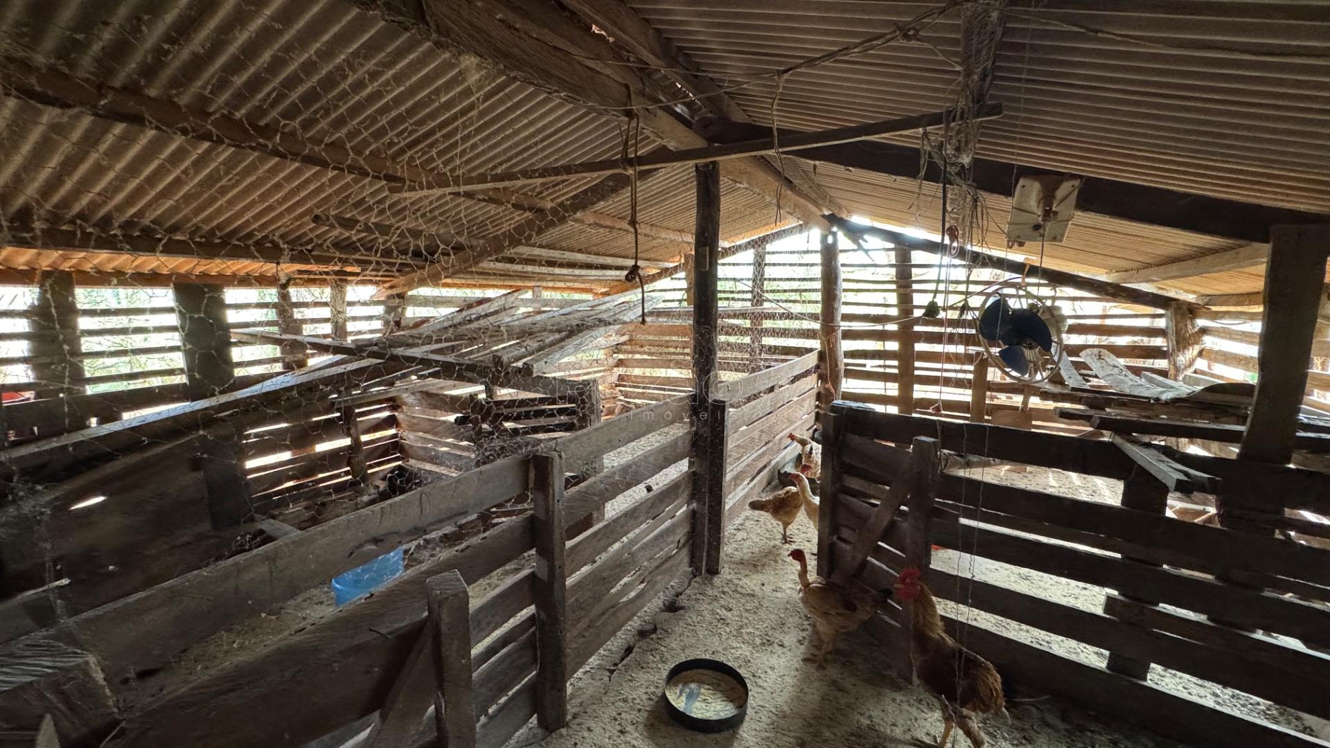 Rural à venda com 5445m² de terreno no Zona Rural de Heitoraí, Heitoraí (GO) — foto 22 de 30