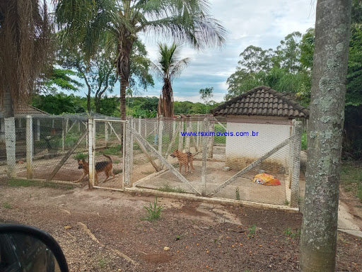 Foto 02