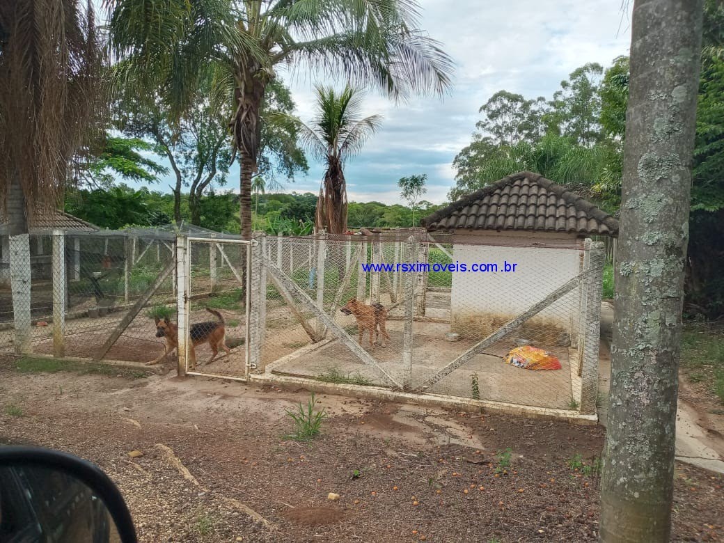 Foto 02