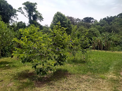 FOTO05