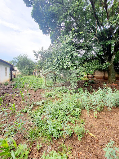 Loja / Salão em Jardim Cinelândia  -  Santa Rita do Passa Quatro