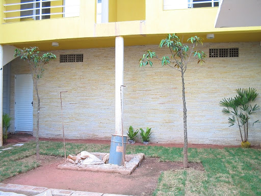 Jardim