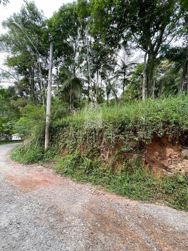 Foto 02