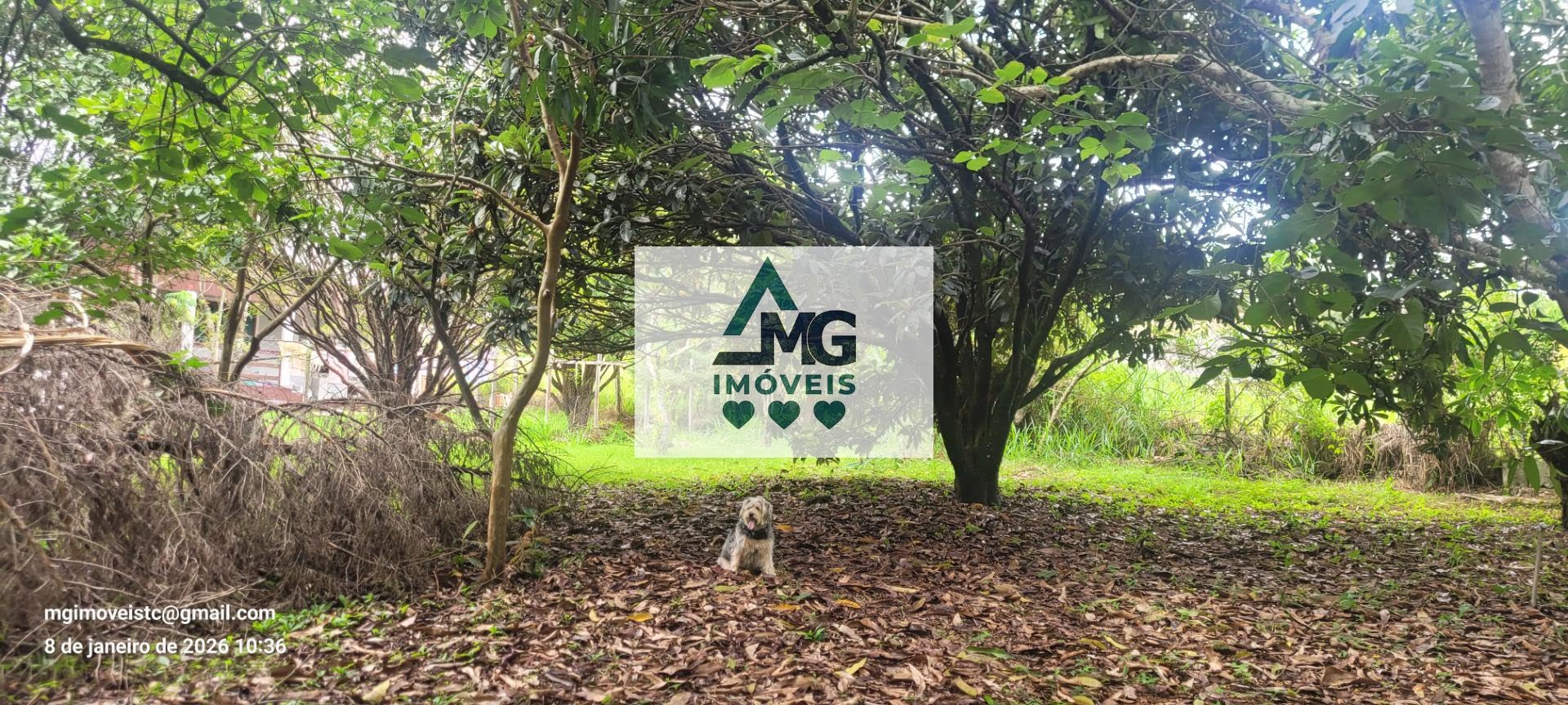Casa à venda com 3 quartos, 1 suíte e 164m² no Marimbeiro, Cambuquira (MG) — foto 12 de 30