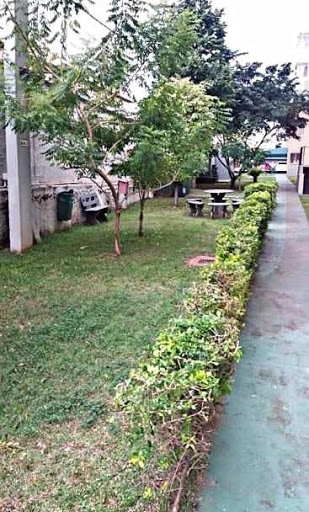 Jardim
