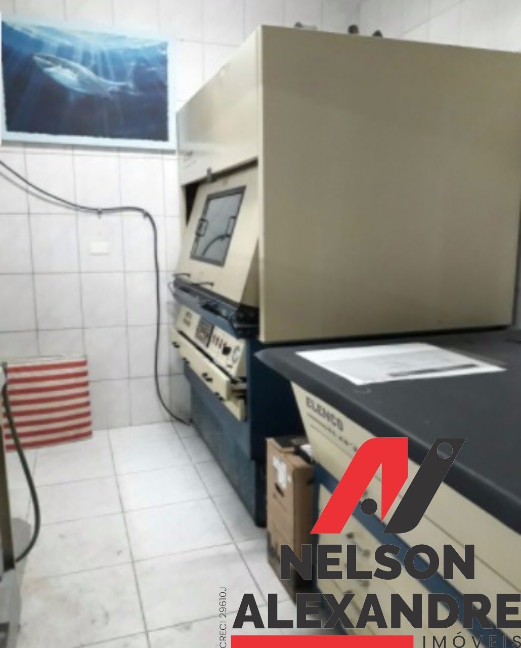 Foto 06