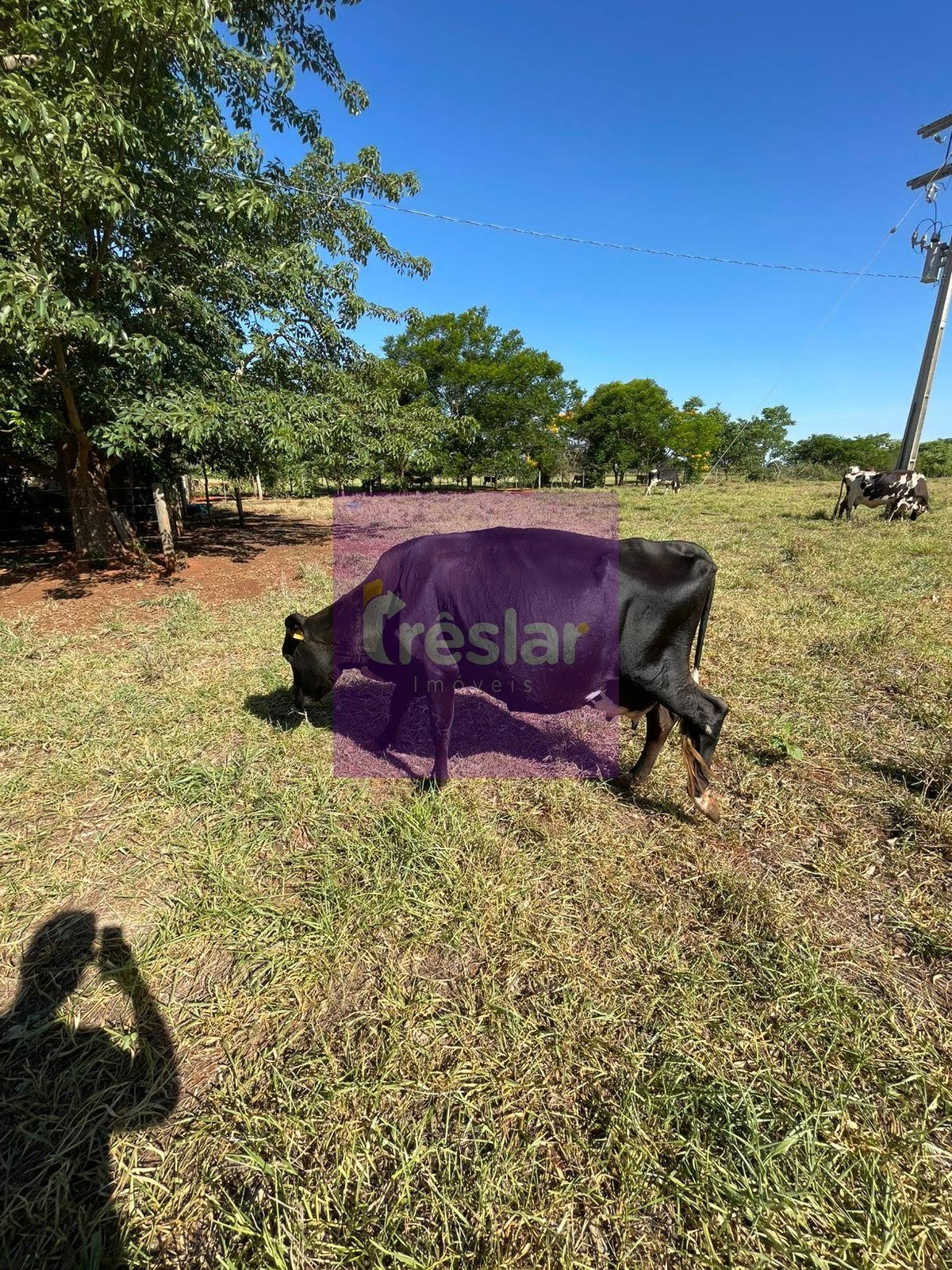 Rural à venda com 80m² de terreno no Chácara, Três Lagoas (MS) — foto 3 de 12