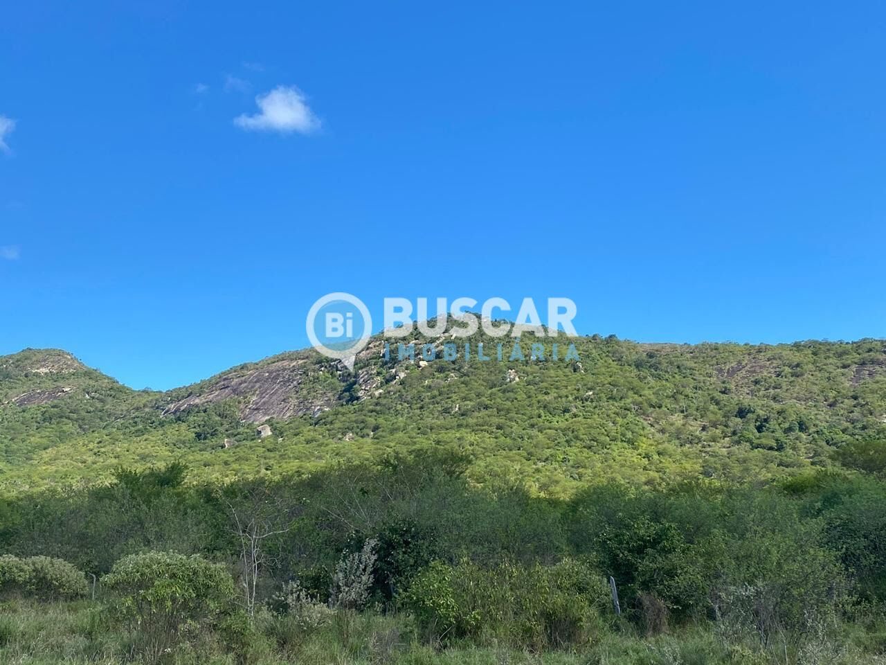 Rural à venda com 1610000m² de terreno no Centro, Iaçu (BA) — foto 2 de 17