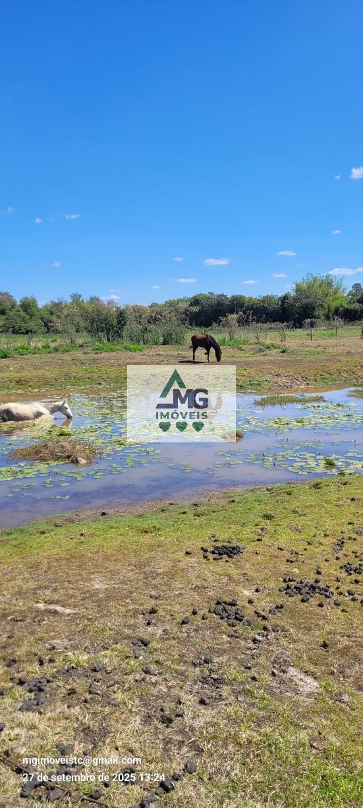 Rural à venda com 20000m² de terreno no Área Rural de Três Corações, Três Corações (MG) — foto 2 de 26