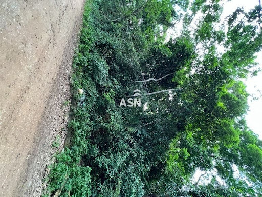 Terreno em Serramar - Rio das Ostras, RJ
