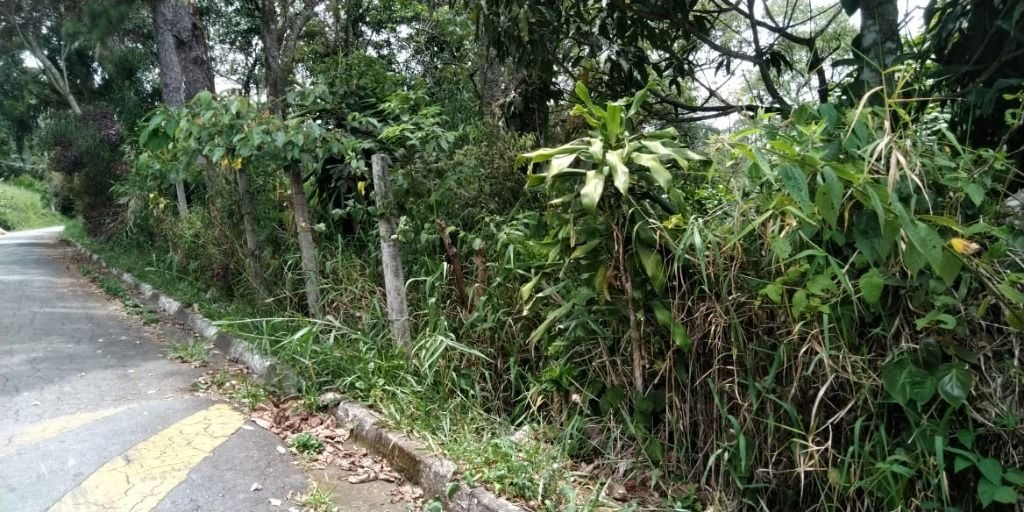 Terreno à venda com 780m² de terreno no Jardim Santo Antônio, Arujá (SP) — foto 6 de 6