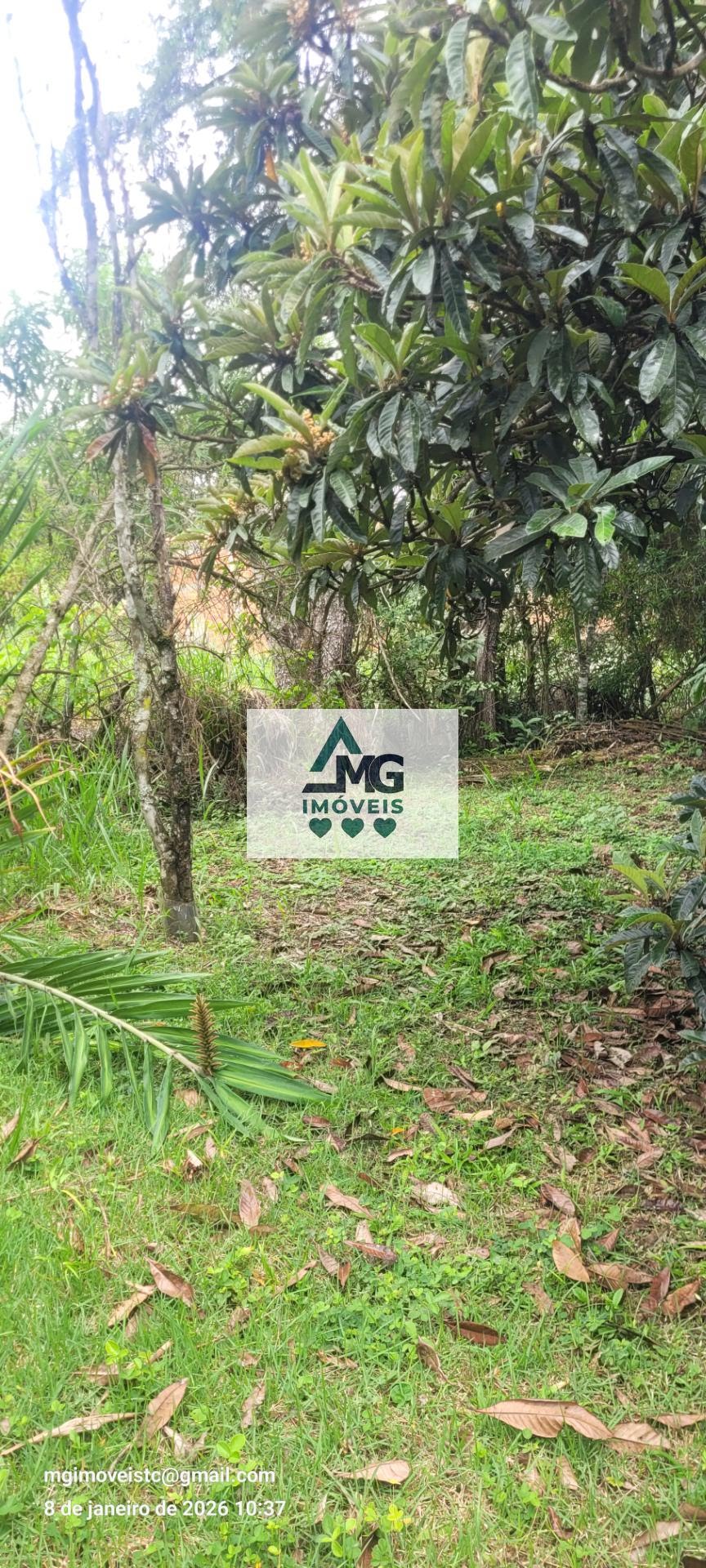 Casa à venda com 3 quartos, 1 suíte e 164m² no Marimbeiro, Cambuquira (MG) — foto 6 de 30