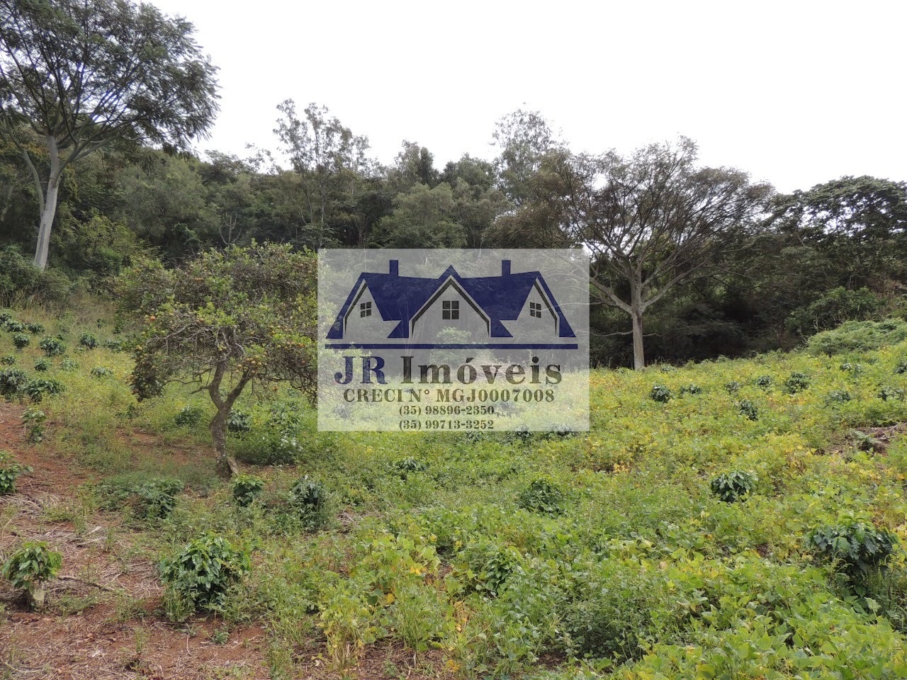 Terreno à venda com 21237m² de terreno no Pinheirinho, Itajubá (MG) — foto 4 de 30