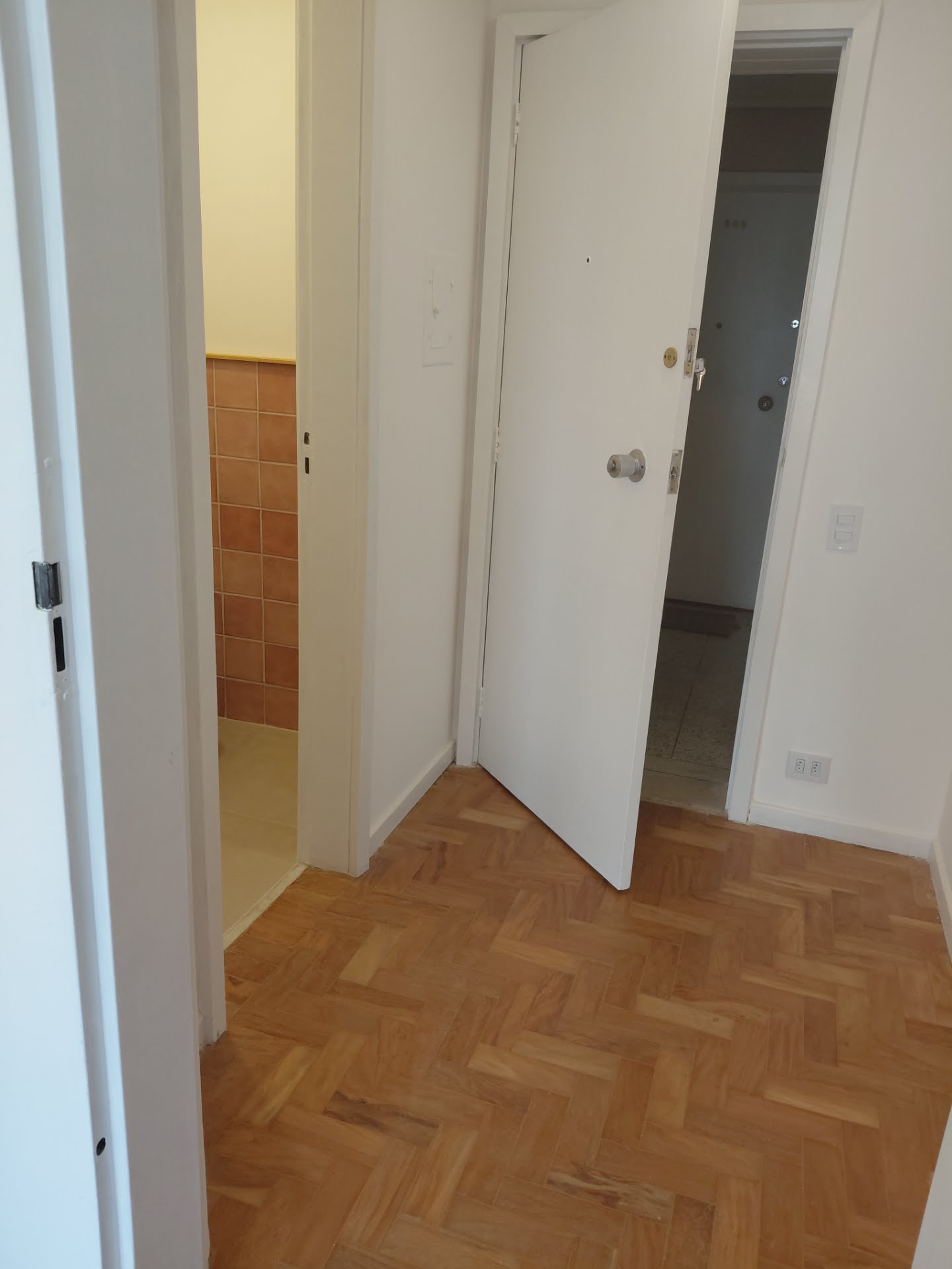 Porta de entrada da sala e do banheiro 