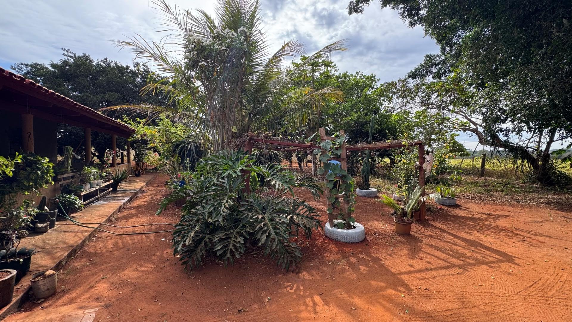 Rural à venda com 5445m² de terreno no Zona Rural de Heitoraí, Heitoraí (GO) — foto 3 de 30