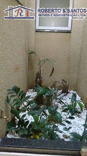 Jardim de inverno
