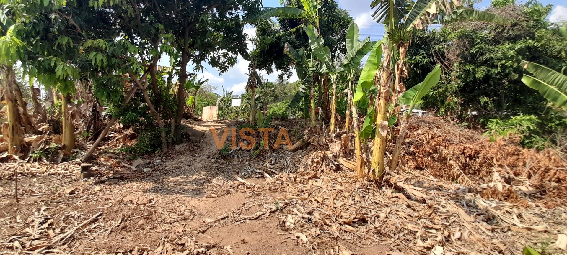 Terreno à venda com 1000m² de terreno no Jardim das Paineiras, Águas da Prata (SP) — foto 7 de 7