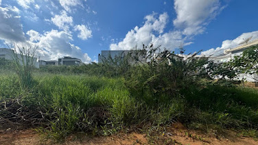 Lote / Terreno em Presidente Costa e Silva  -  Itaperuna