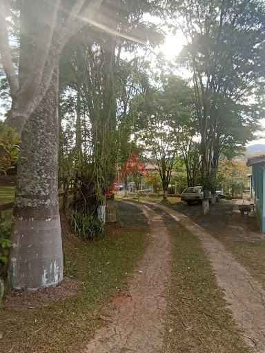 Sítio 4 alqueires em Ouro Fino/MG
