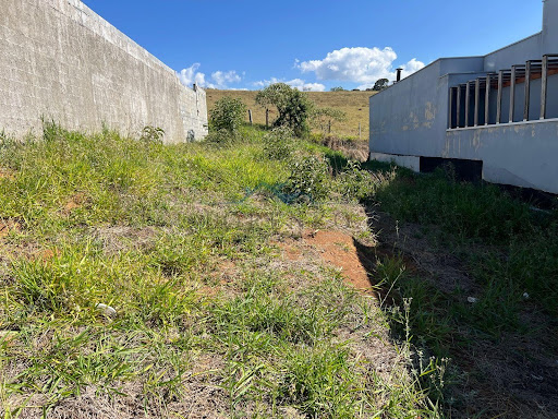 VISTA DE FRENTE