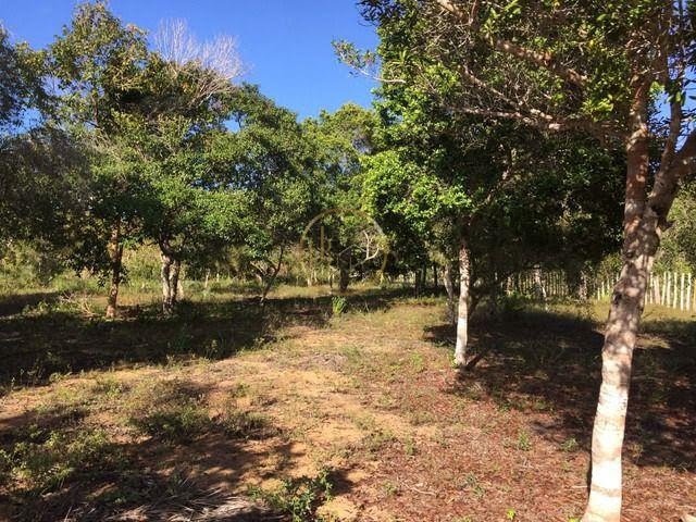 Terreno à venda com 210000m² de terreno no Trancoso, Porto Seguro (BA) — foto 15 de 18