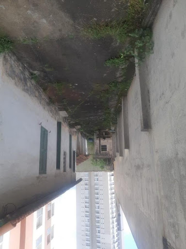 FOTO_5
