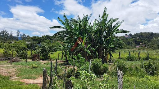 Terreno em Bairro Barreiro  -  Extrema