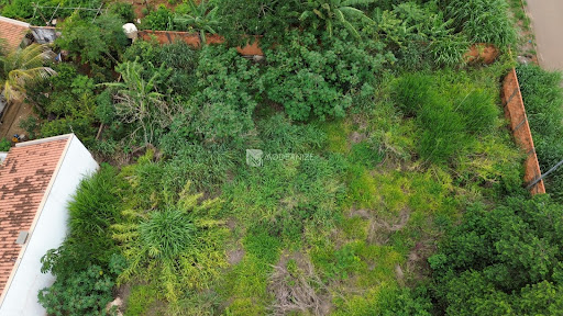 Lote / Terreno em Loteamento Santa Cruz  -  Catalão