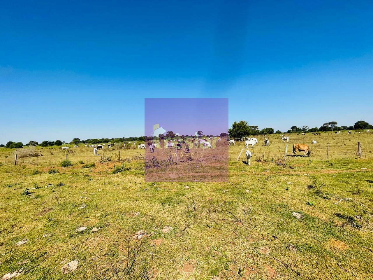 Rural à venda com 1710000m² de terreno no Fazenda, Três Lagoas (MS) — foto 30 de 30