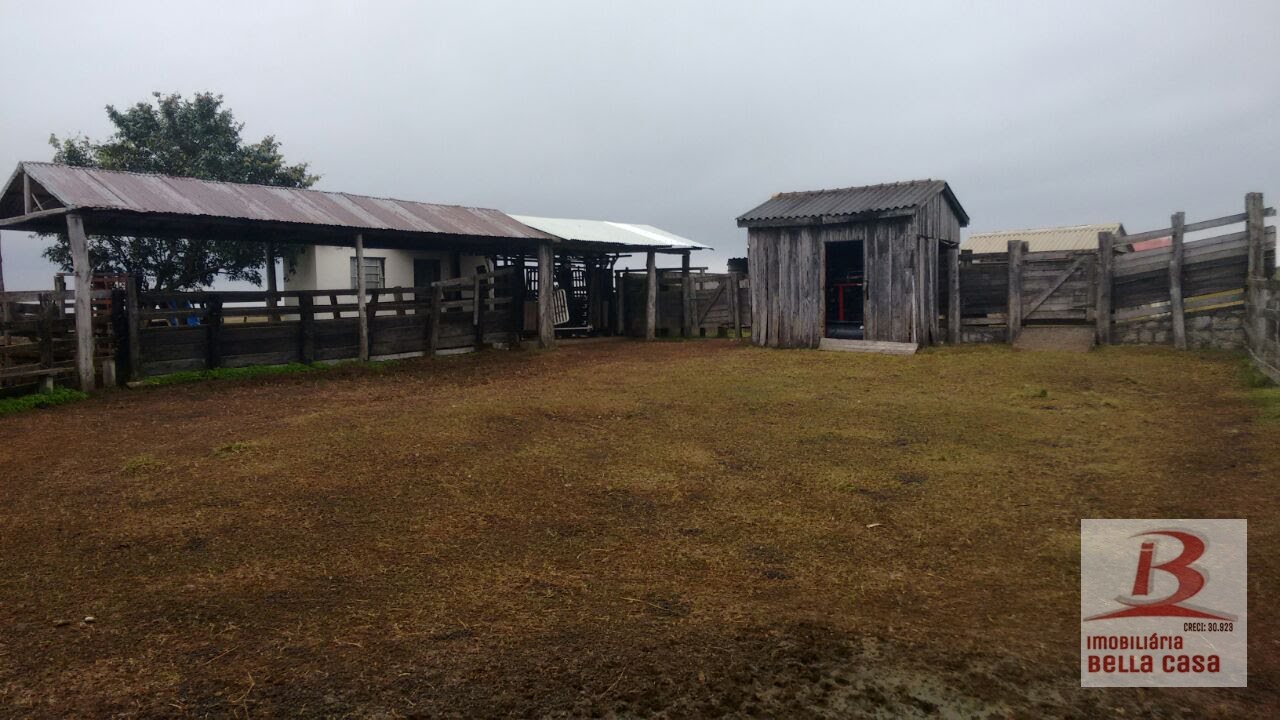Brete de vacinação, tronco de contenção e balança cobertos