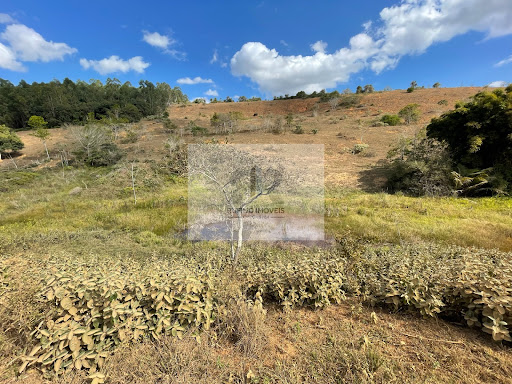 Sítio em Estrada São Diniz  -  Cataguases