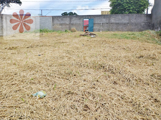 Lote / Terreno em Limoeiro  -  São Paulo