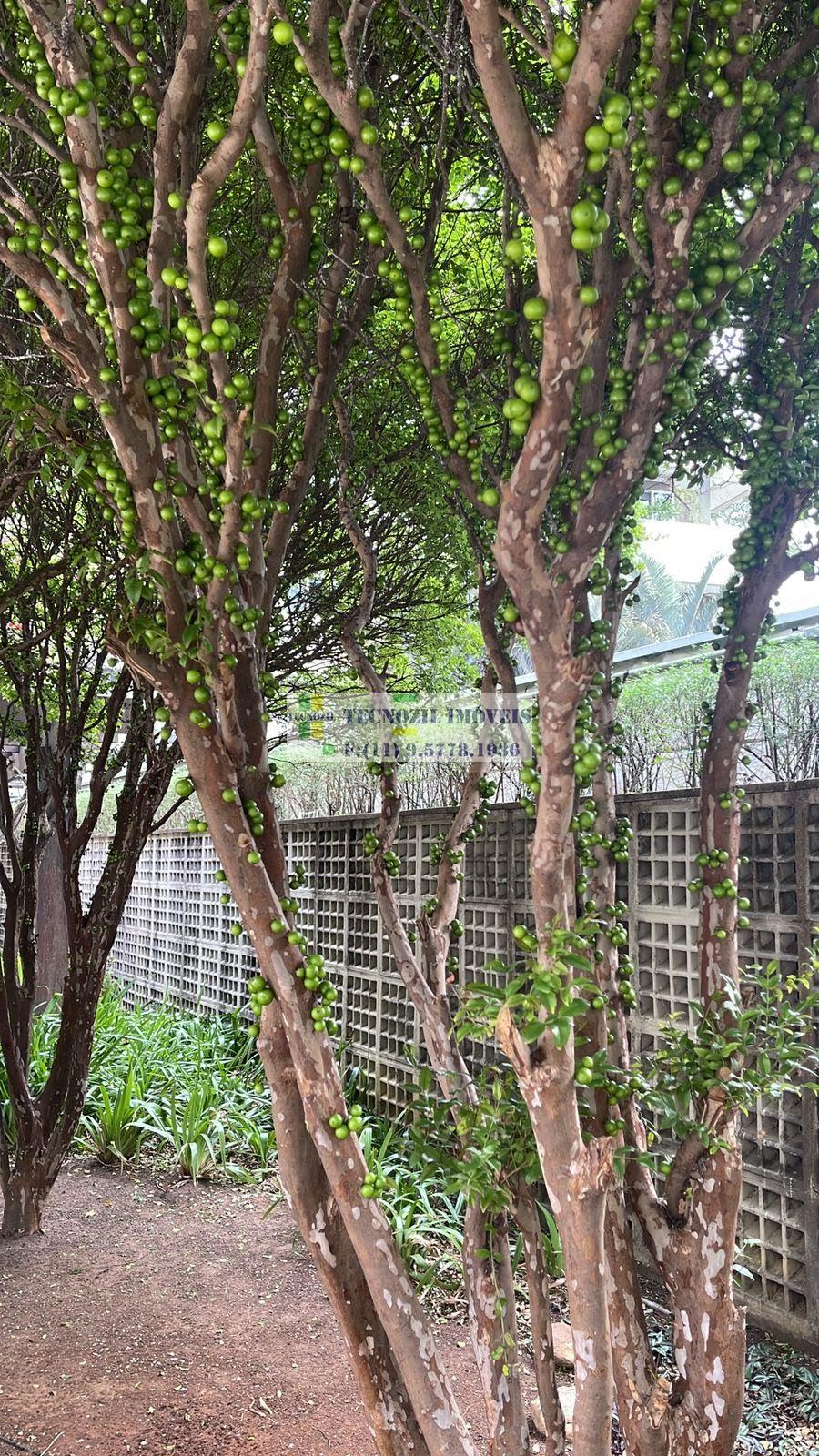 Apartamento, 2 quartos, 79 m² - Foto 20