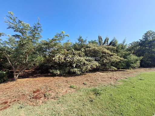 Terreno, 12 m² - Foto 13