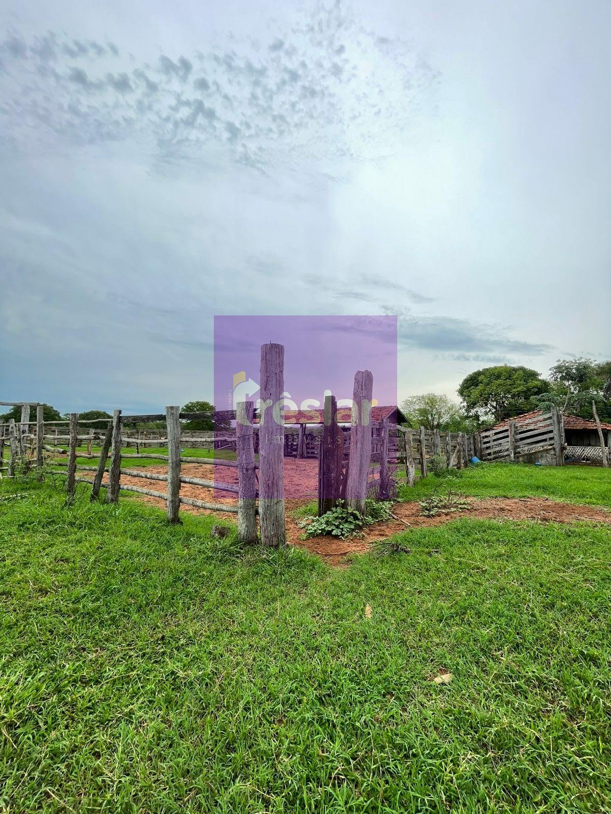 Rural à venda no Fazenda, Três Lagoas (MS) — foto 8 de 24