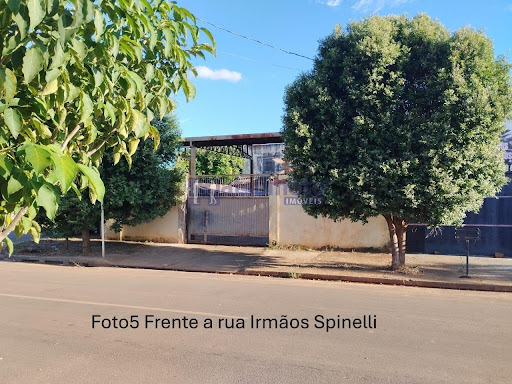 foto5
