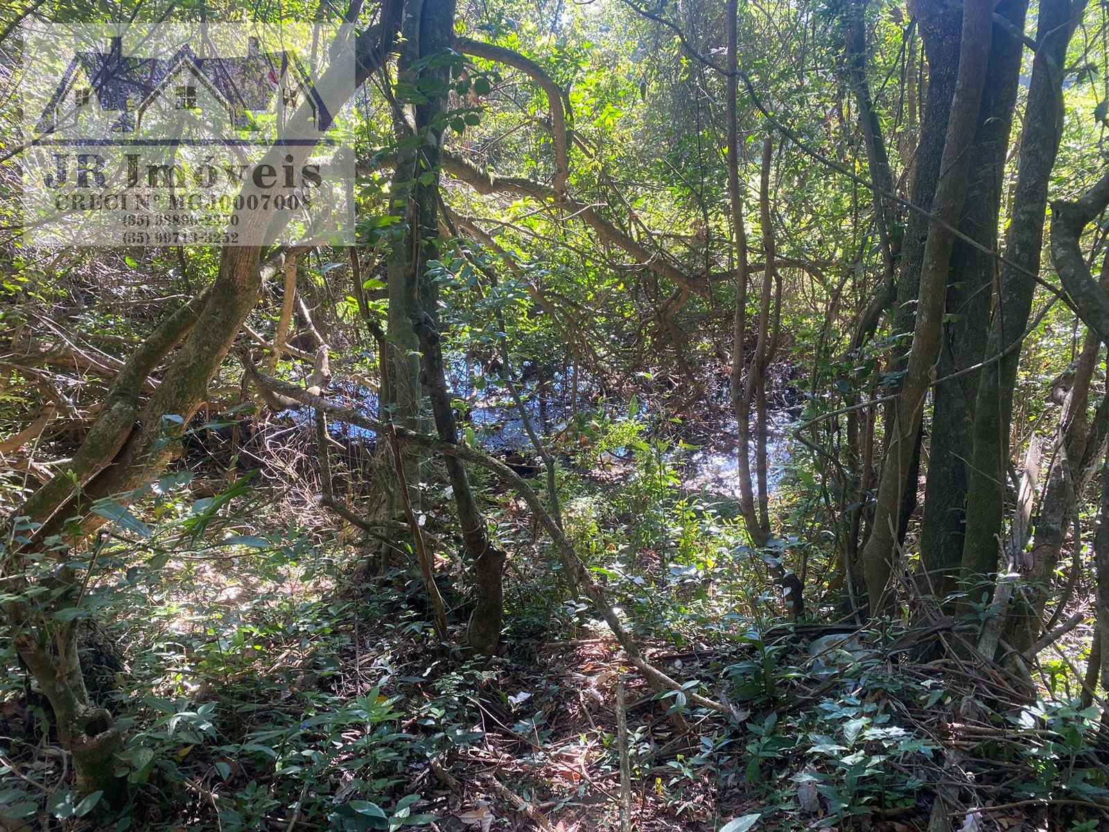 Terreno à venda com 21840m² de terreno no Grota, Itajubá (MG) — foto 10 de 23