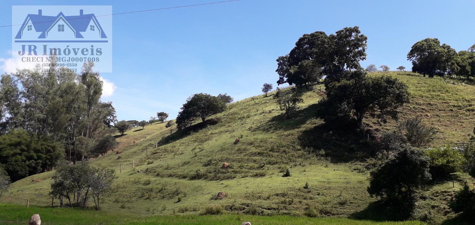 Terreno à venda com 10875m² de terreno no Teodoros, Brazópolis (MG) — foto 4 de 12