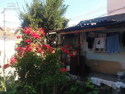 Vista interna do terreno